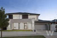 Curlewis