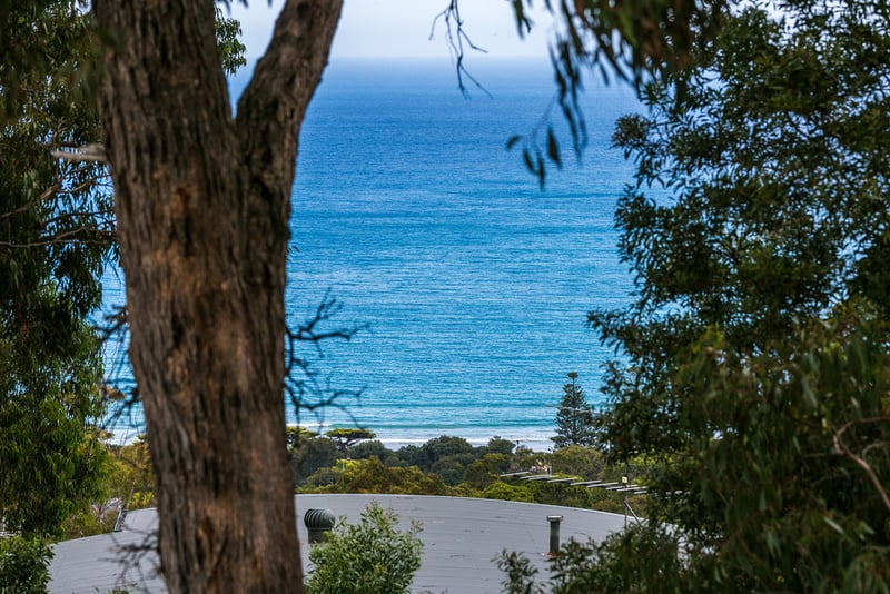 23 Toorak Terrace, Lorne, VIC, Lorne - Thumbnail 3