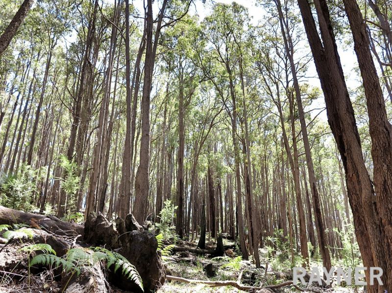 1 Oro Road Dwellingup WA, Dwellingup - Thumbnail 6