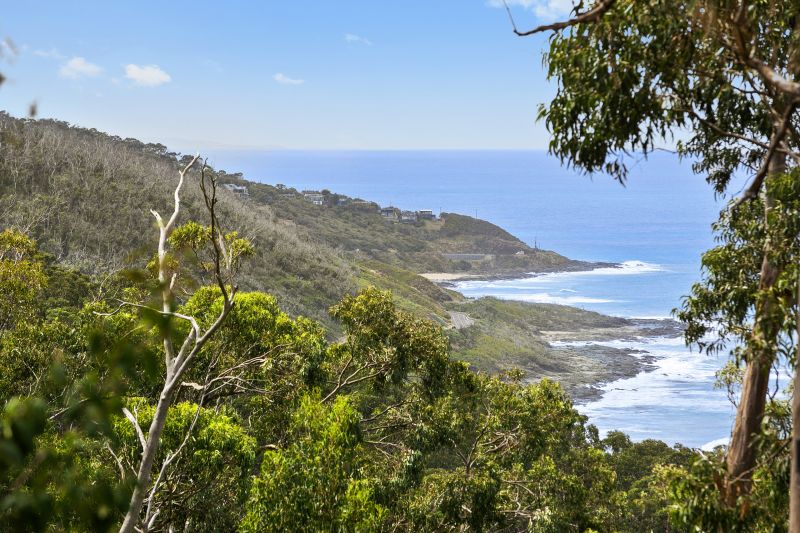 25 Cassidy Drive, Kennett River, VIC, Kennett River - Thumbnail 2