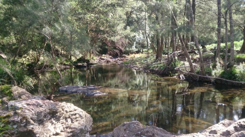 , YARROWITCH NSW 2354