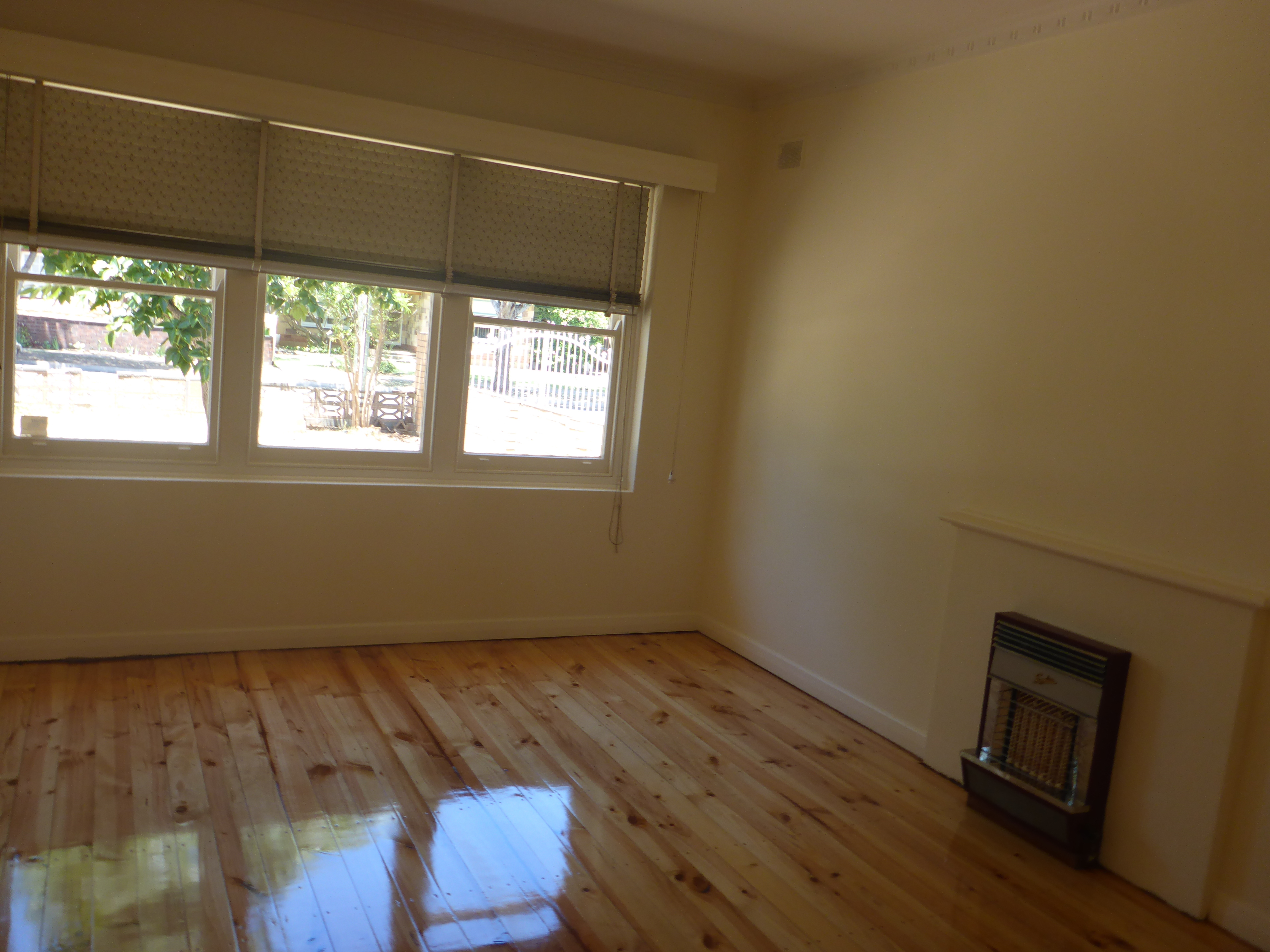 10 Shirley Avenue Croydon 5008