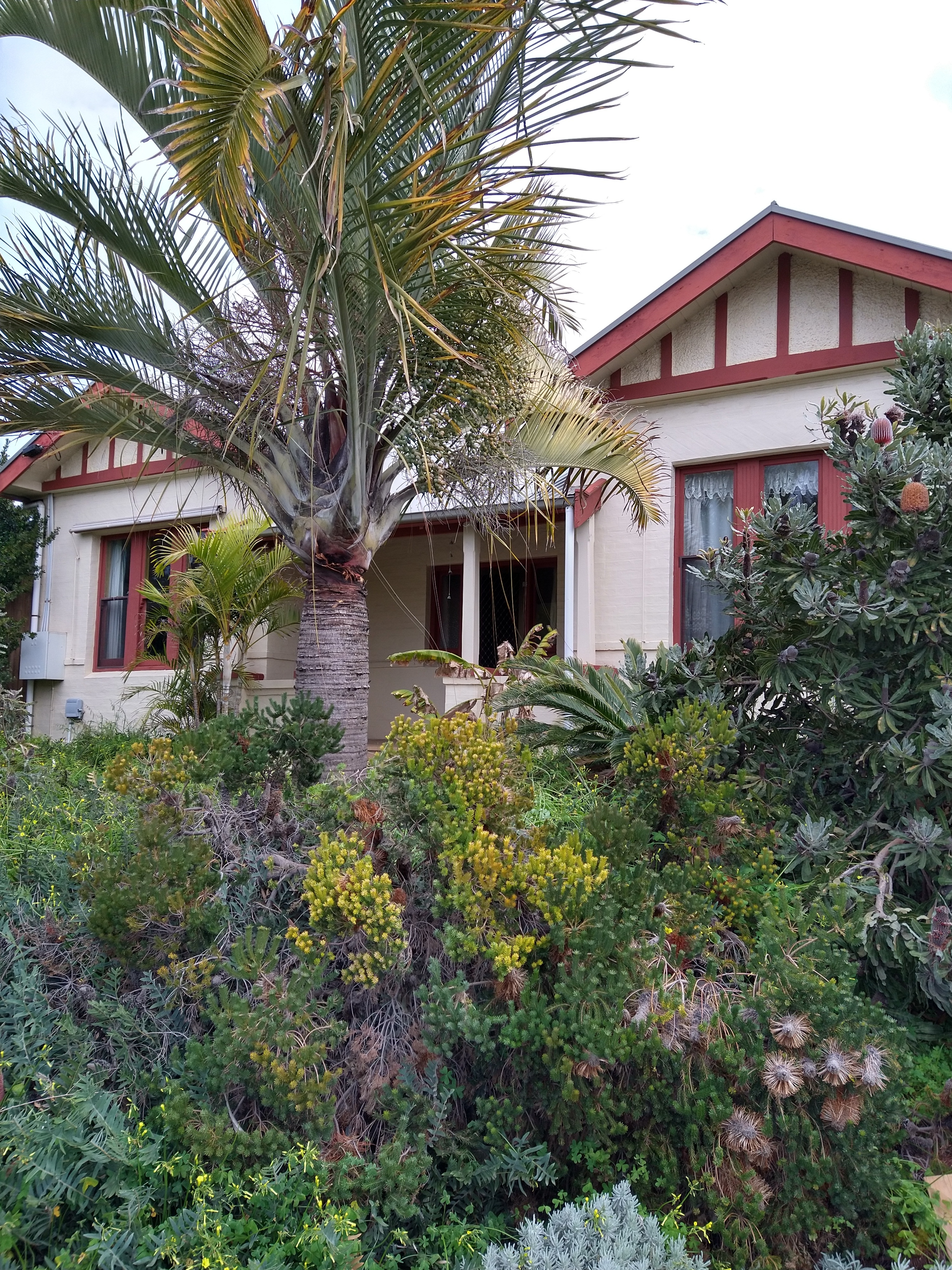 435 Military Road Grange 5022