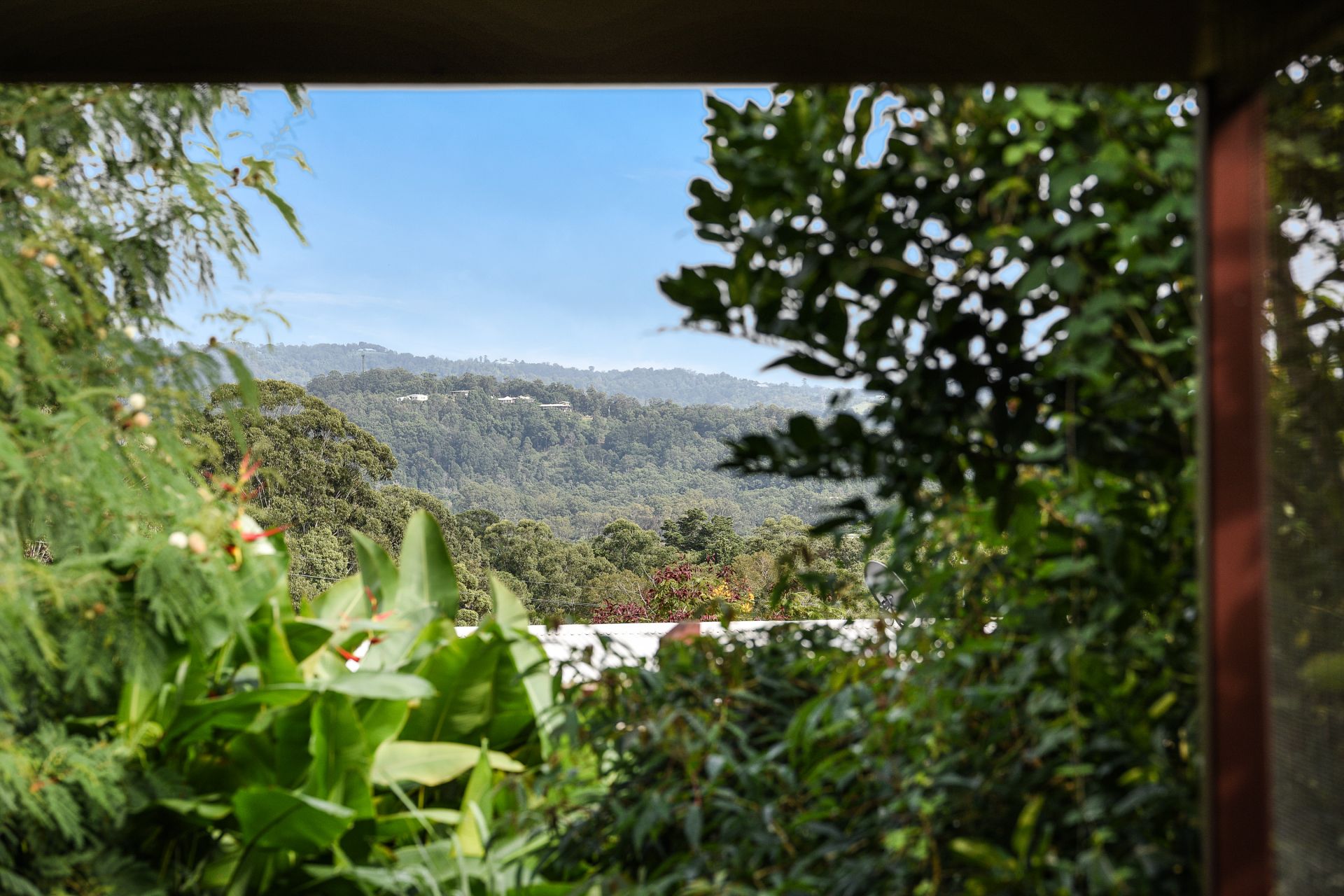 18 Mckays Lane Palmwoods QLD, Palmwoods - Thumbnail 3