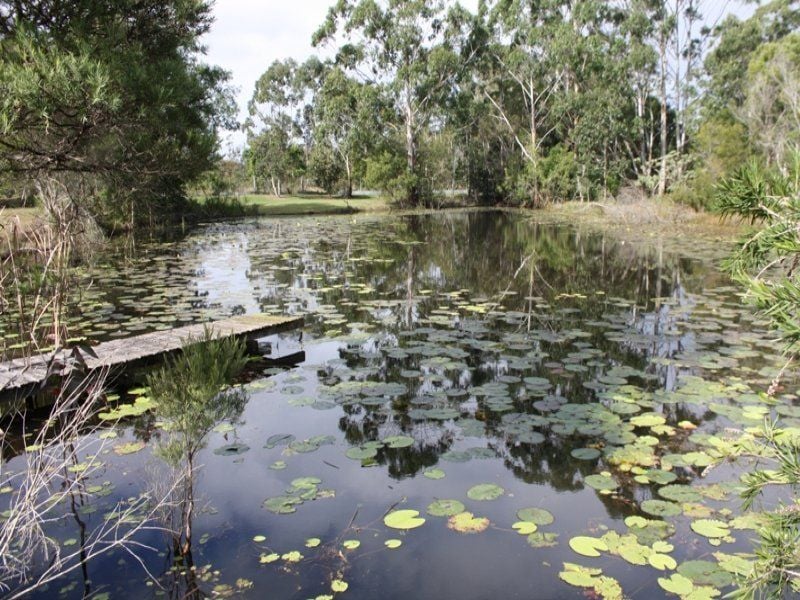 210 Rodeo Drive, KUNDABUNG NSW 2441