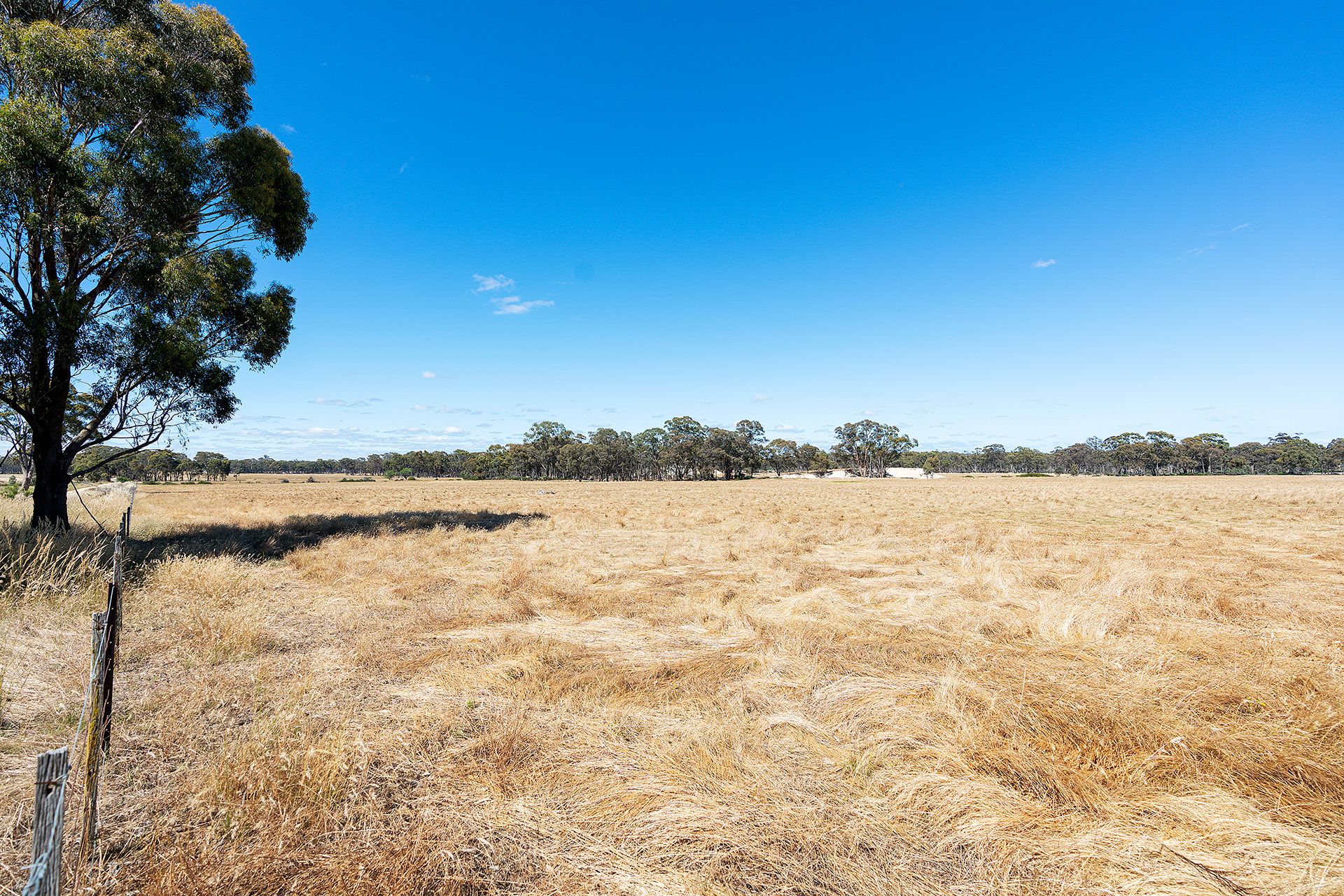 20 Ross Drive, Castlemaine - Thumbnail 3