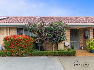 WONDERFULL ON WOOD!!