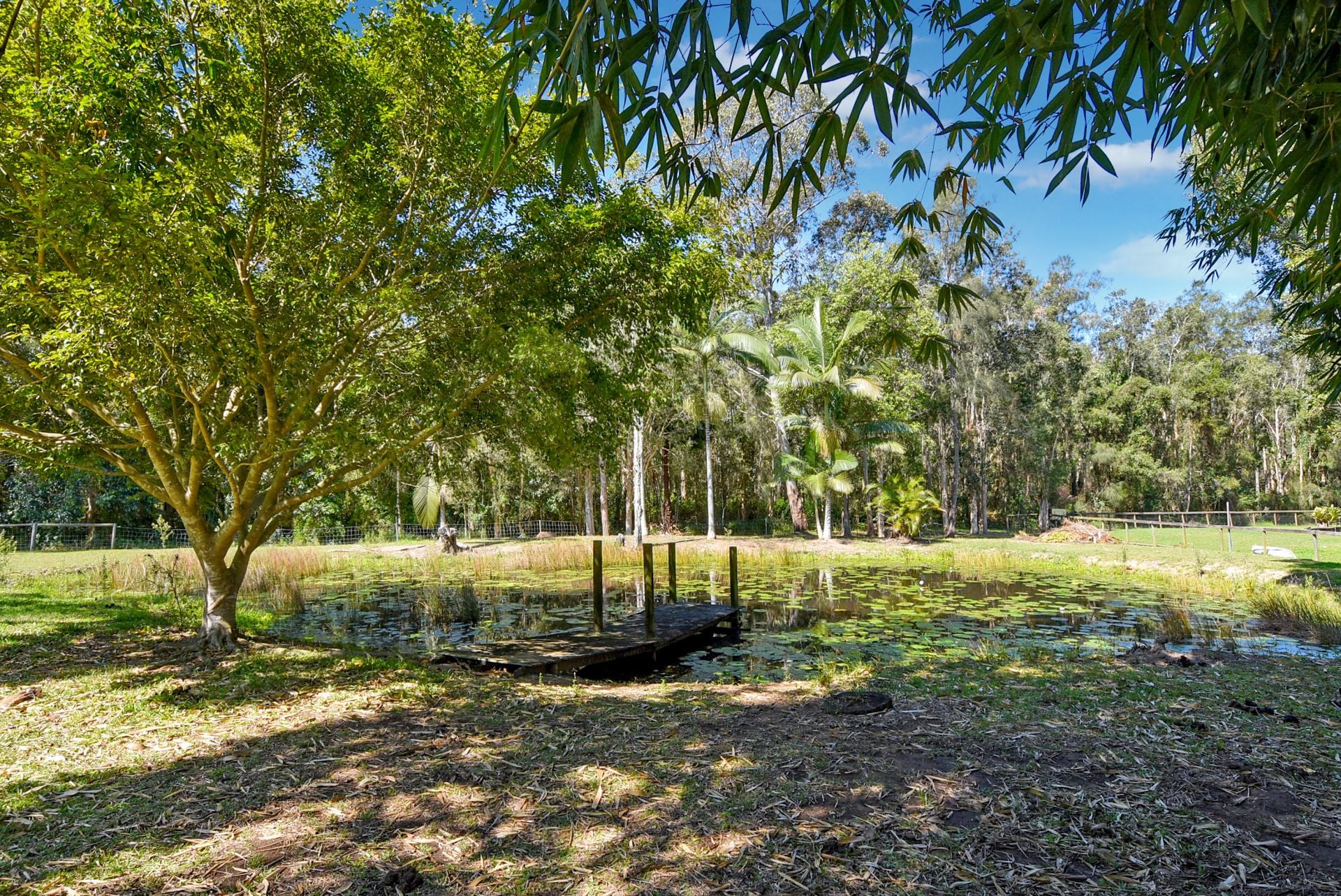 92-96 River Gum Drive Diddillibah QLD, Diddillibah - Thumbnail 3