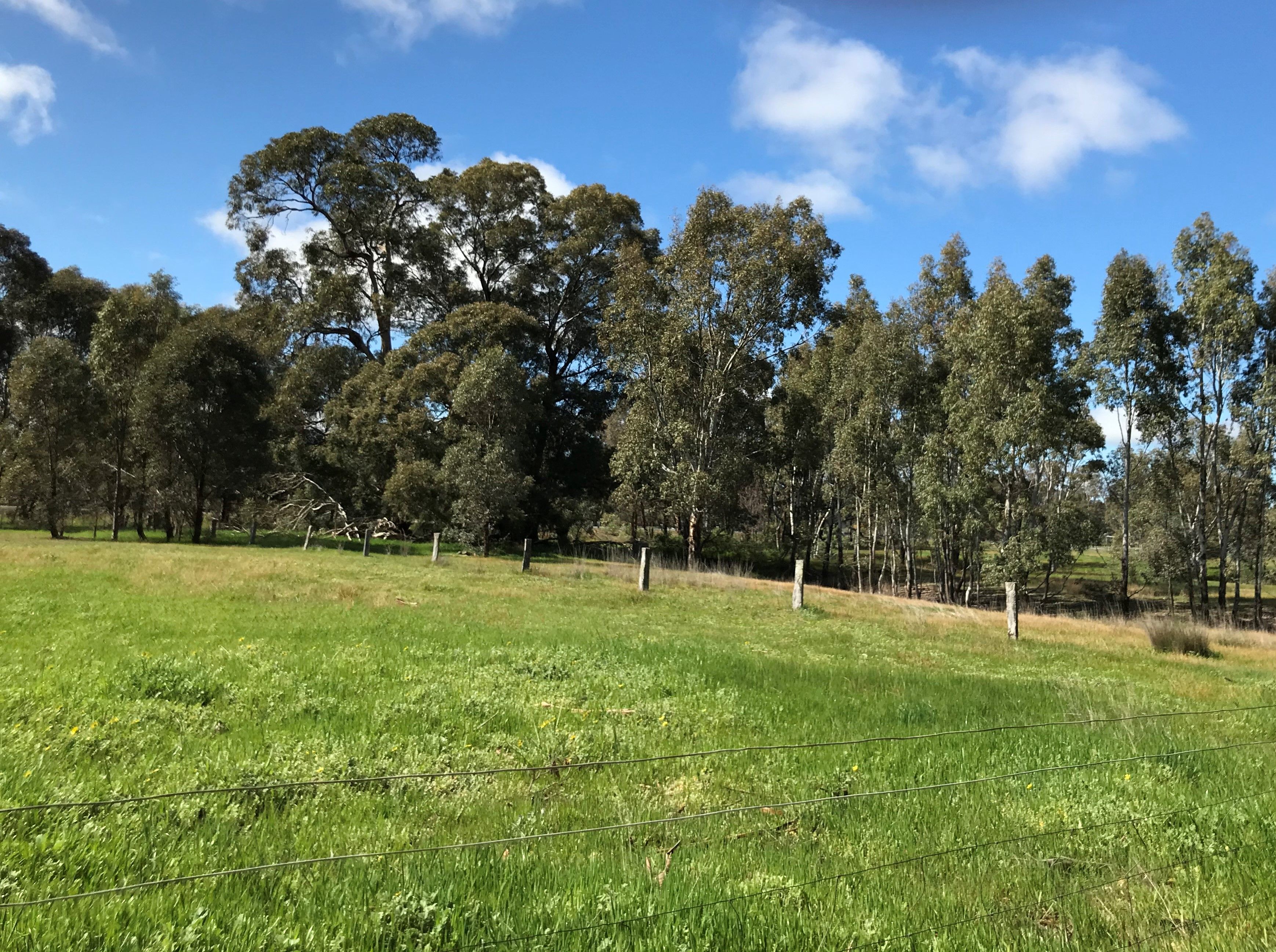 Real Estate For Sale C/A 30/ MoyreiskRedbank Road Redbank , VIC