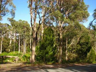 Lot 7 Castle Drive, TARLETON, Tarleton - Thumbnail 8
