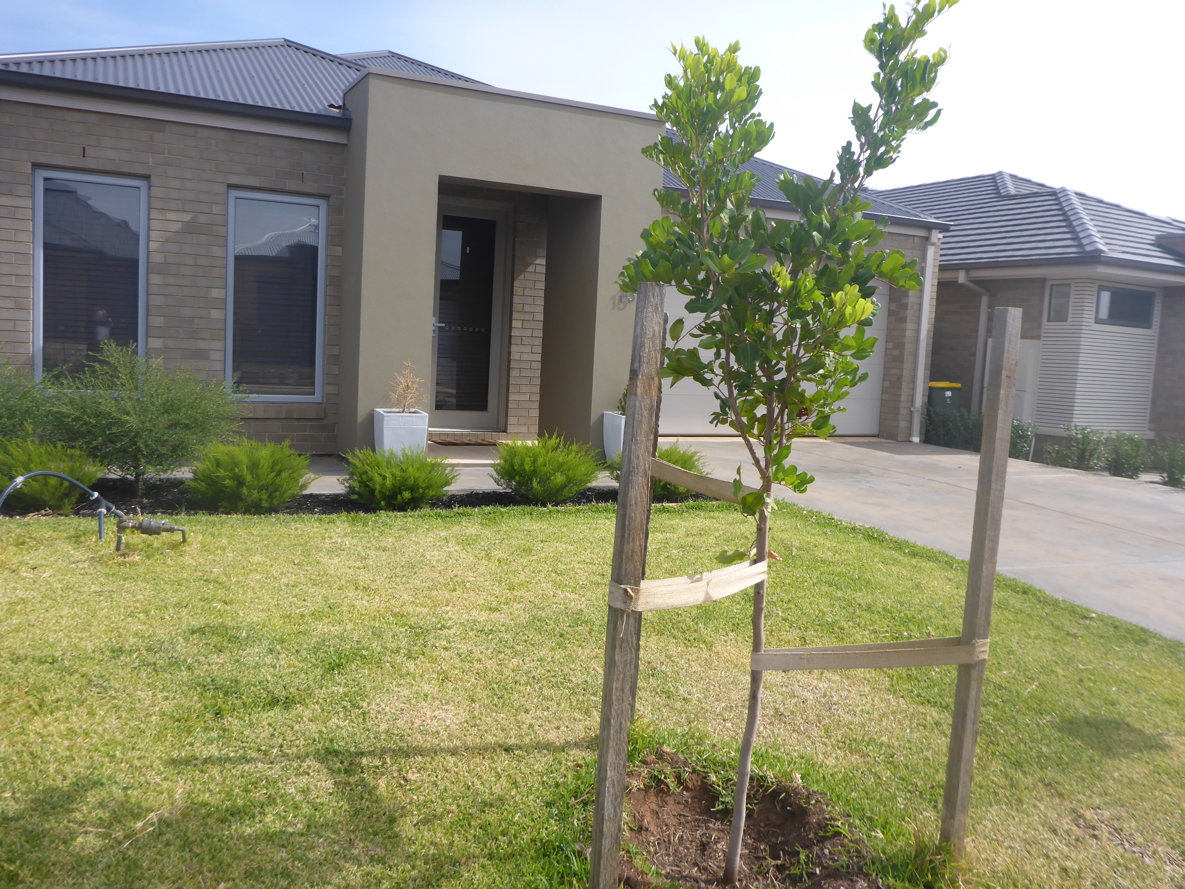 15 Queensberry Way Blakeview 5114
