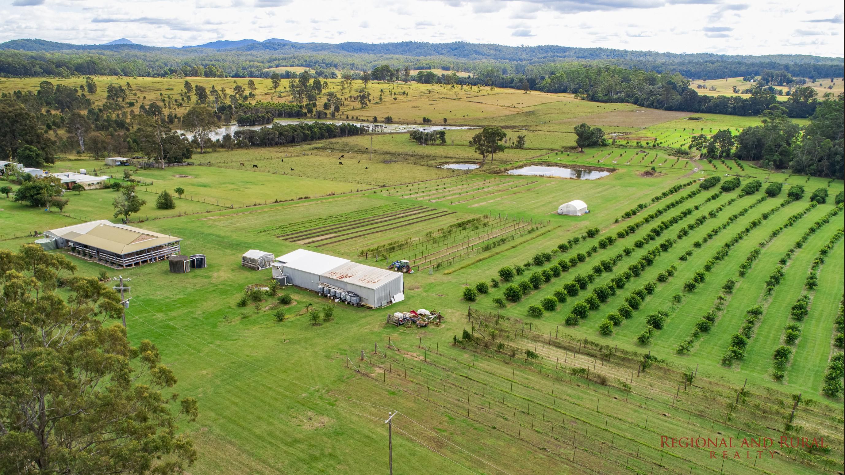1252 Collombatti Rd, COLLOMBATTI NSW 2440