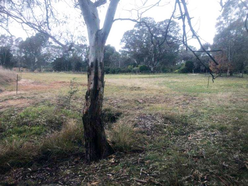 CA4/ Sunraysia Highway, Lexton, Lexton, Lexton - Thumbnail 8