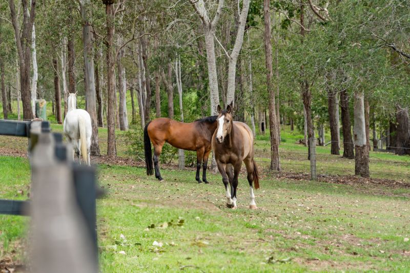 Real Estate For Sale 10 Arnan Court Samford Valley , QLD