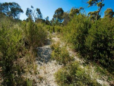 Summerhill Drive, PORT SORELL, Port Sorell - Thumbnail 6