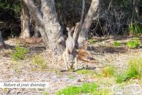 16 Laverton Rise, Dawesville, Dawesville - Thumbnail 7