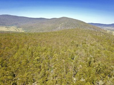 Lot 1 Little Den Road, Millers Bluff, Millers Bluff - Thumbnail 8