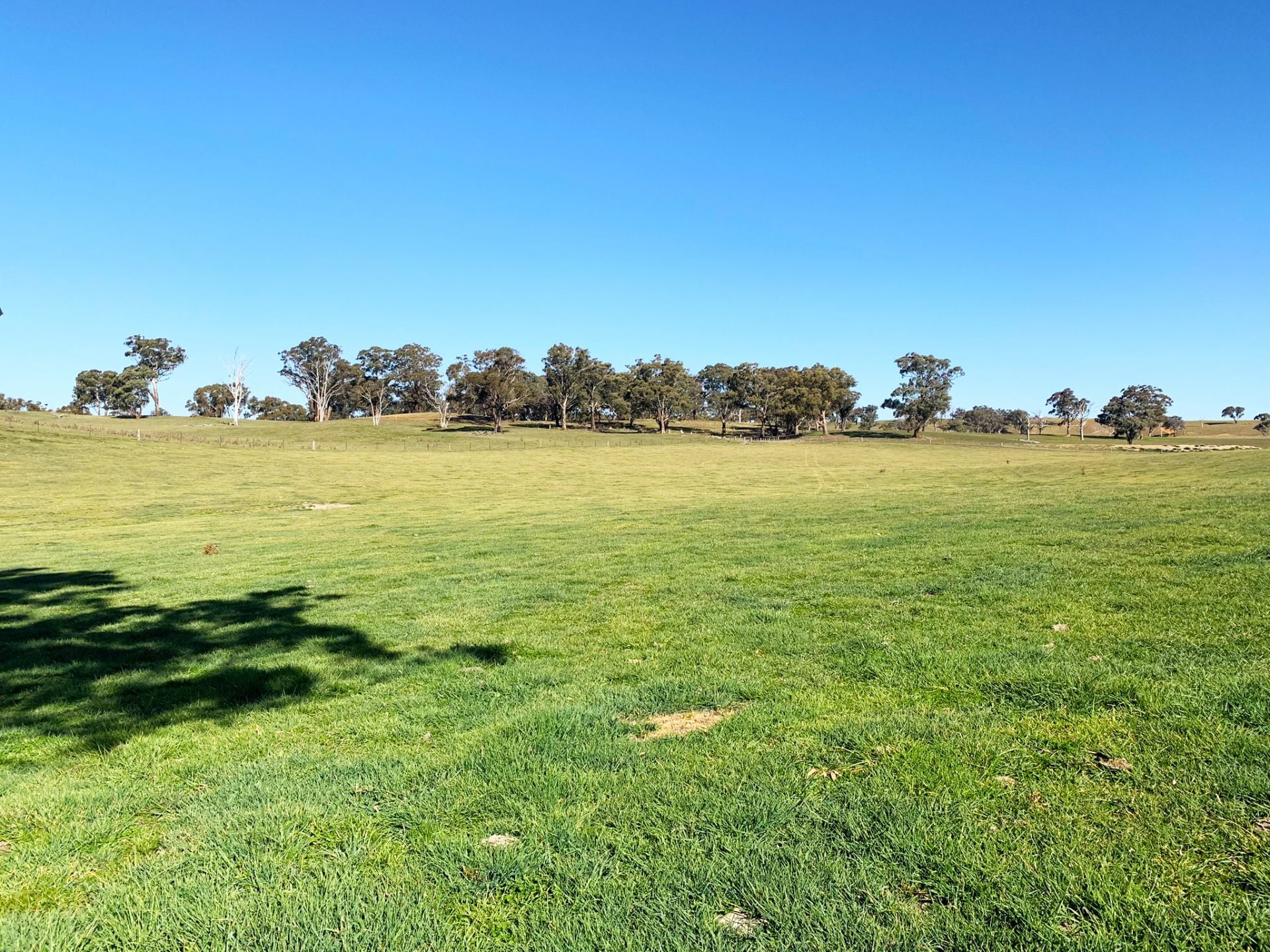 244 Lachlan Road, Bathurst, Bathurst - Thumbnail 6