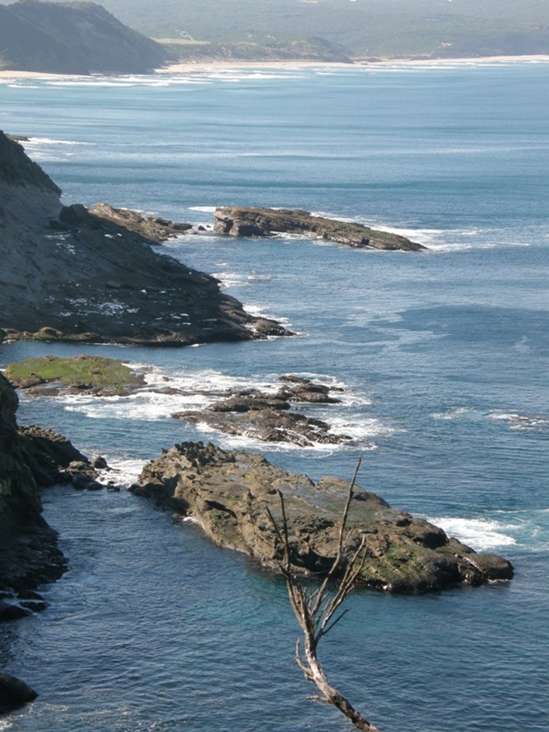 119 Knowledge Track (Yuulong), Apollo Bay, VIC, Apollo Bay - Thumbnail 6