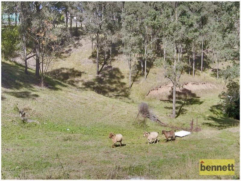 5 Panorama Crescent, Freemans Reach - Thumbnail 3