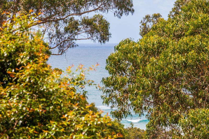 11 Wallace Street, Wye River, VIC, Wye River - Thumbnail 2