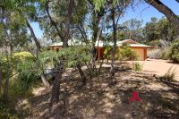 Leschenault