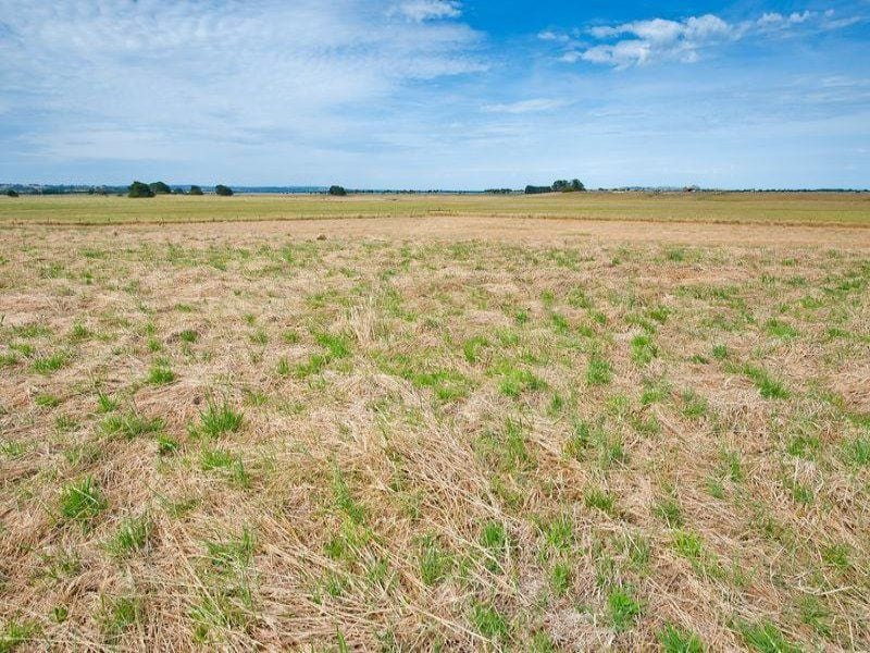 5 Meredith Park Road IRREWARRA VIC, Irrewarra - Thumbnail 3