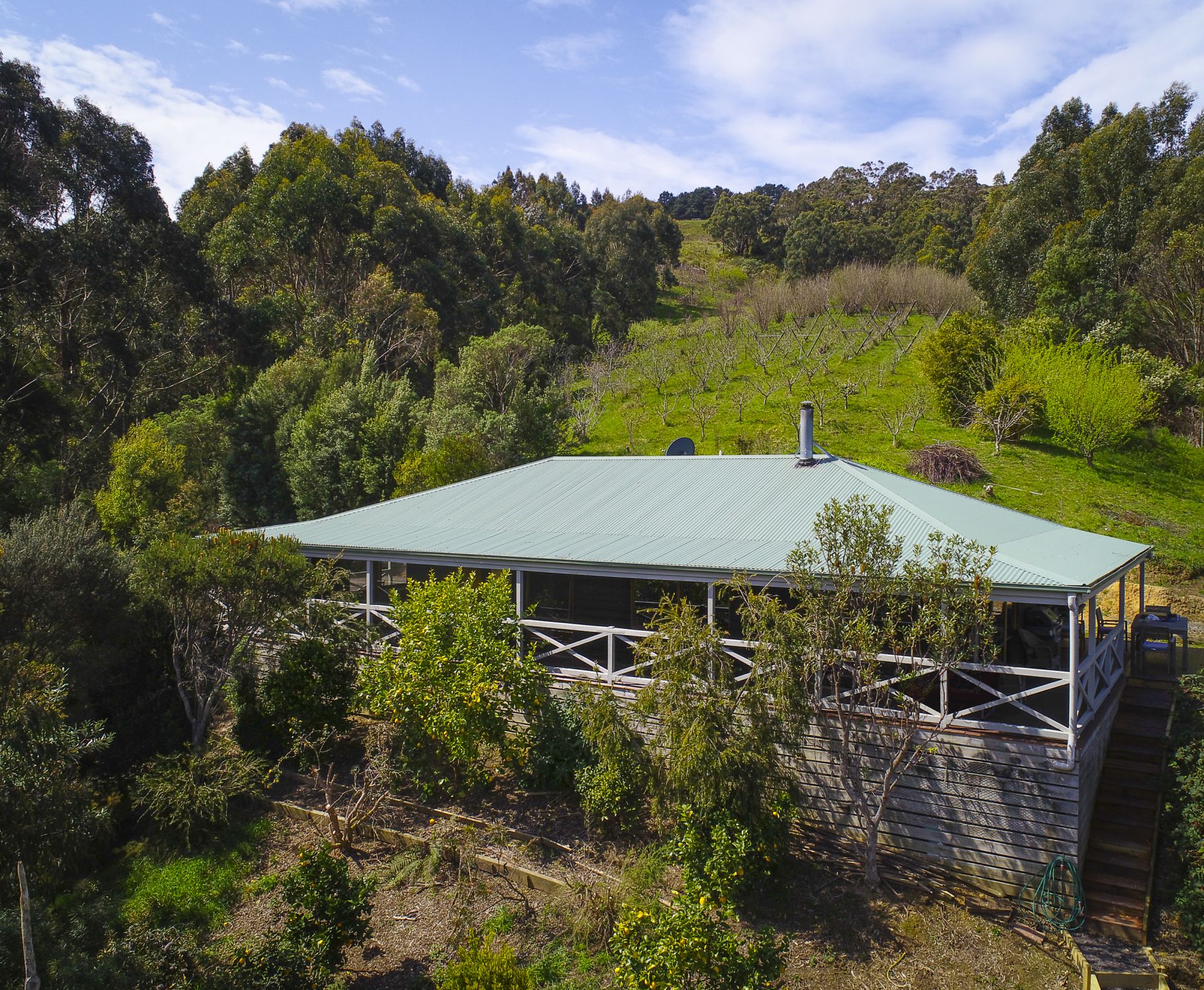 390 Wild Dog Road, Apollo Bay - Thumbnail 5