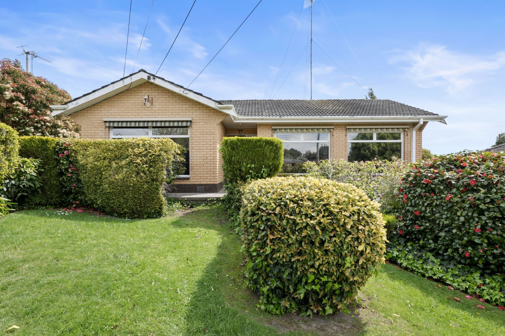 57 Lovenear Grove Ballarat East VIC, Ballarat East - Thumbnail 4