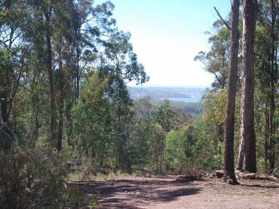 Lot 197 Millingandi Road, Millingandi