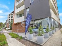 Glebe