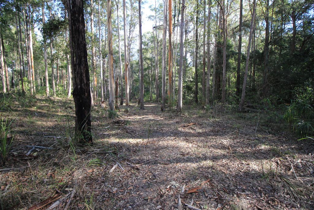 46 Acacia Drive, TELEGRAPH POINT NSW 2441