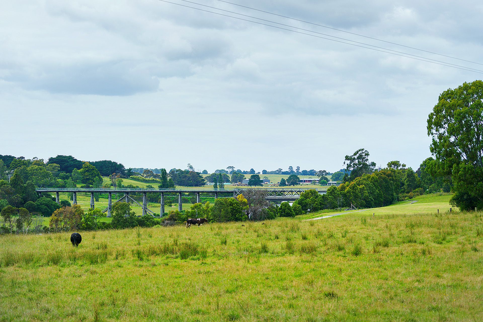 Lot 6/1 Floreani Place, Nicholson VIC 3882