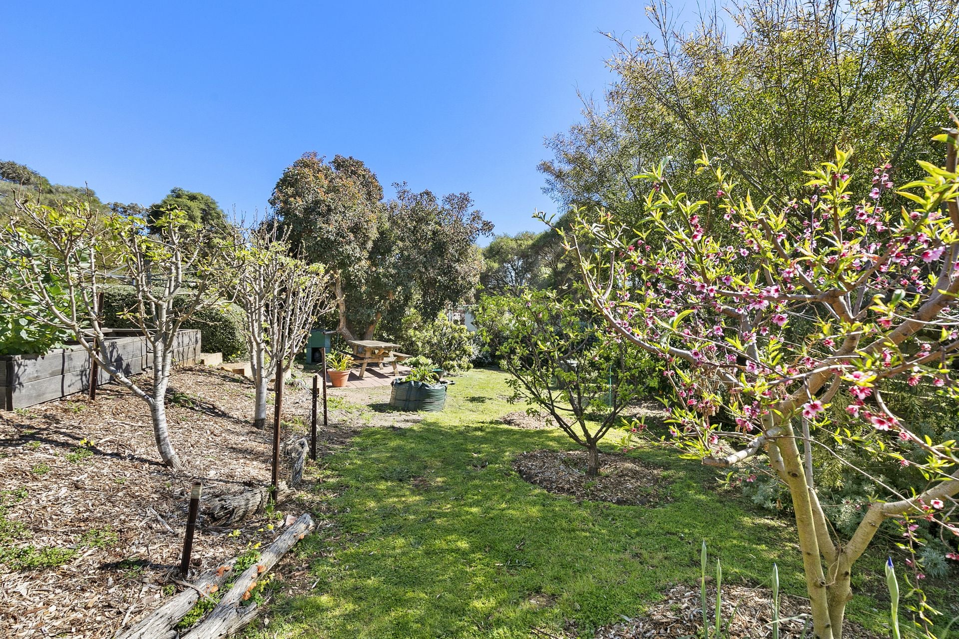 28 Alice Road, Aireys Inlet - Thumbnail 8