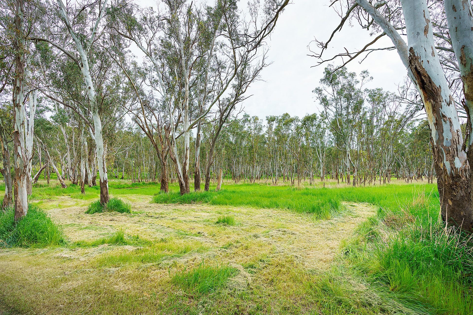 Real Estate For Sale Lot 20/ HarrowCasterton Road Harrow , VIC