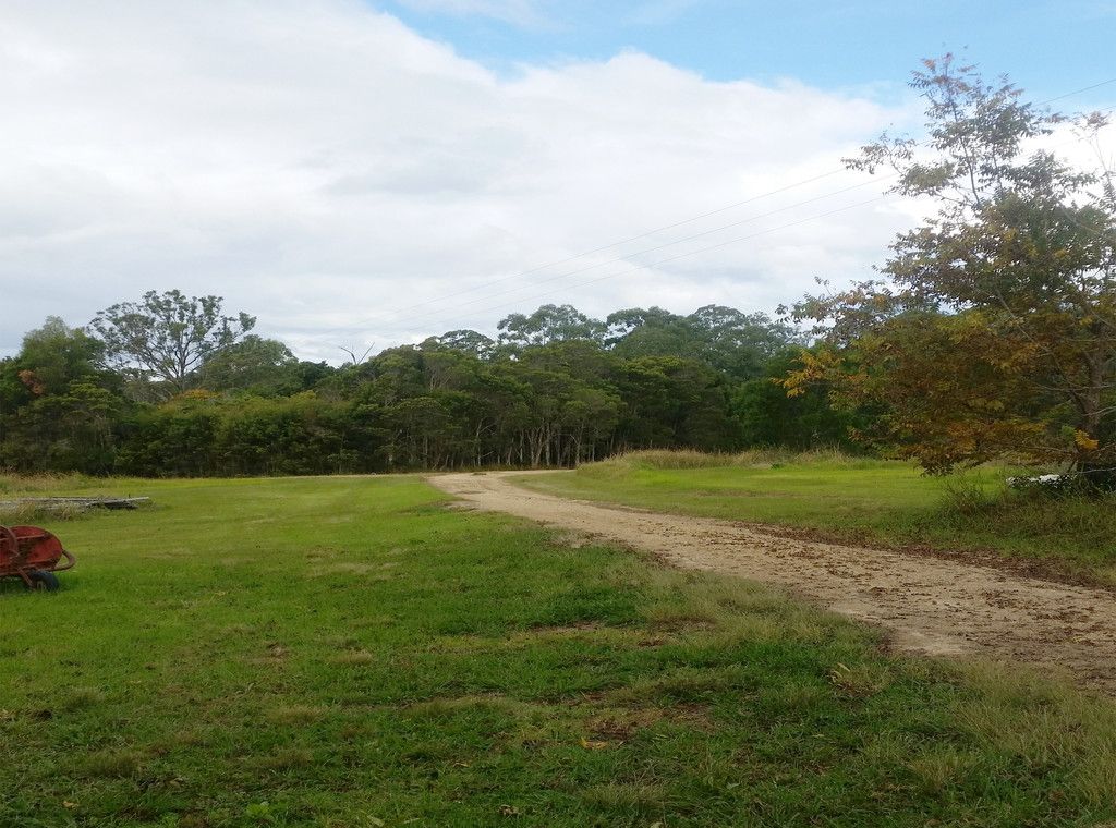 444 Upper Rollands Plains Road, UPPER ROLLANDS PLAINS NSW 2441