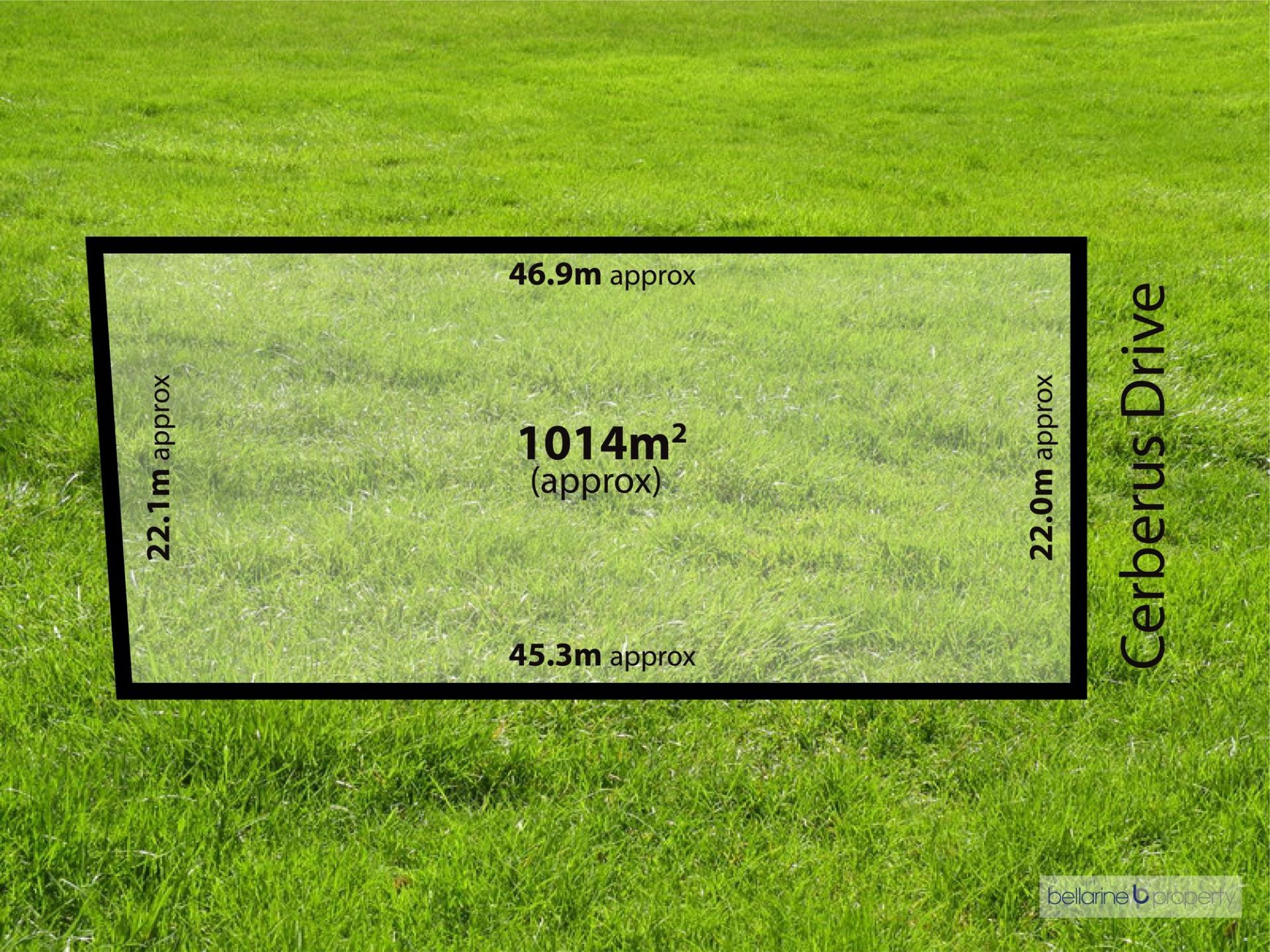 55 Cerberus Drive Ocean Grove VIC, Ocean Grove - Thumbnail 2