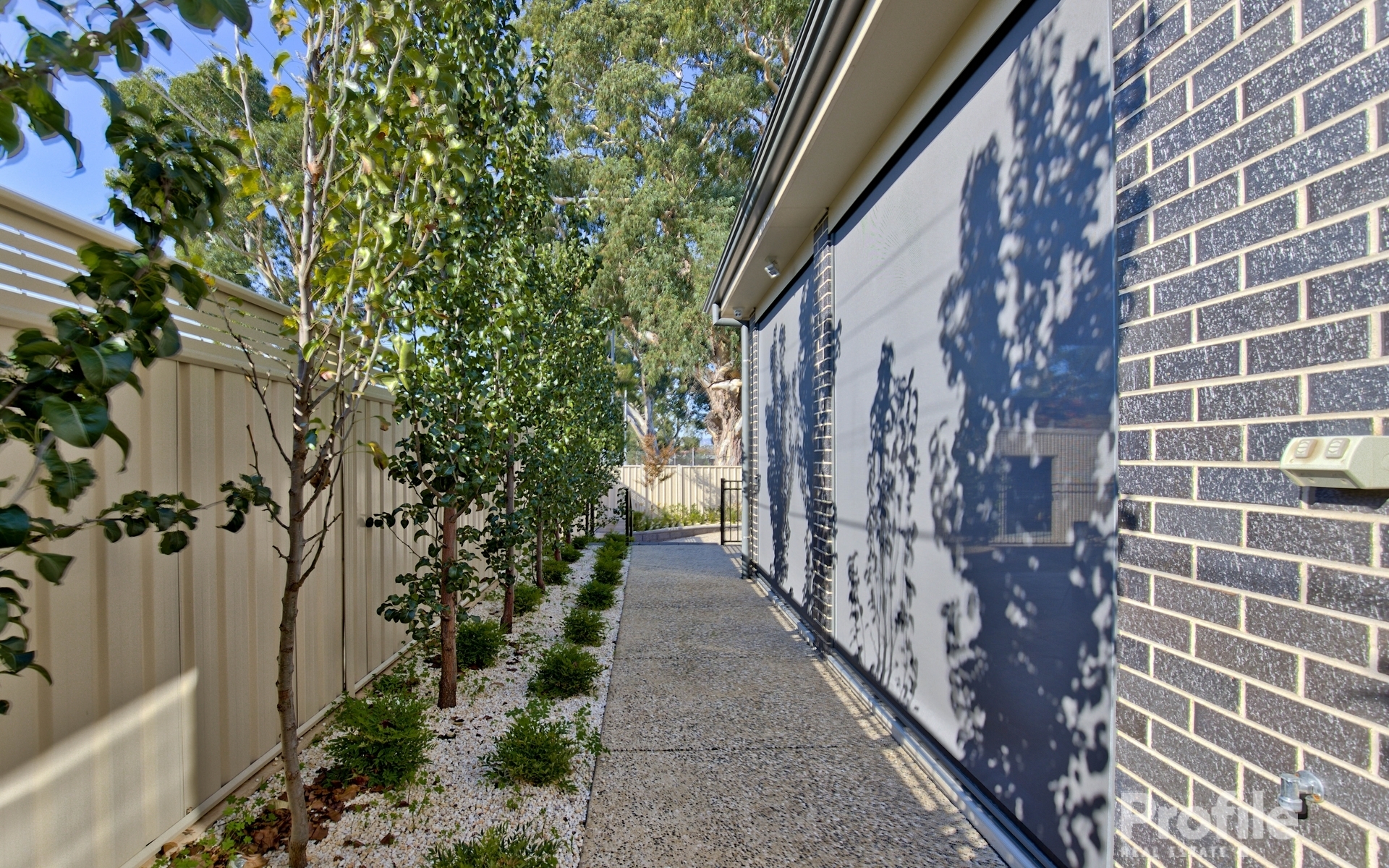 12 Malurus Avenue Lockleys 5032