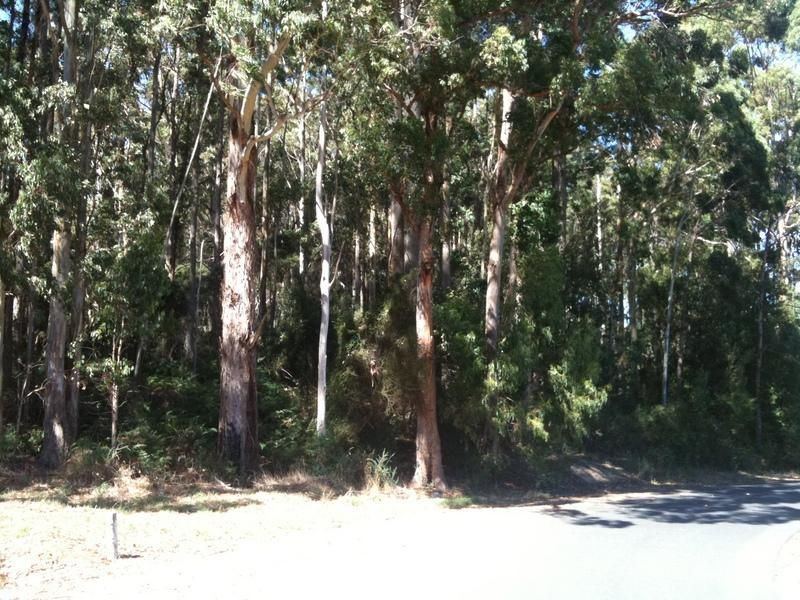 Lot 1 Olivers Road, WEST ULVERSTONE, West Ulverstone - Thumbnail 5