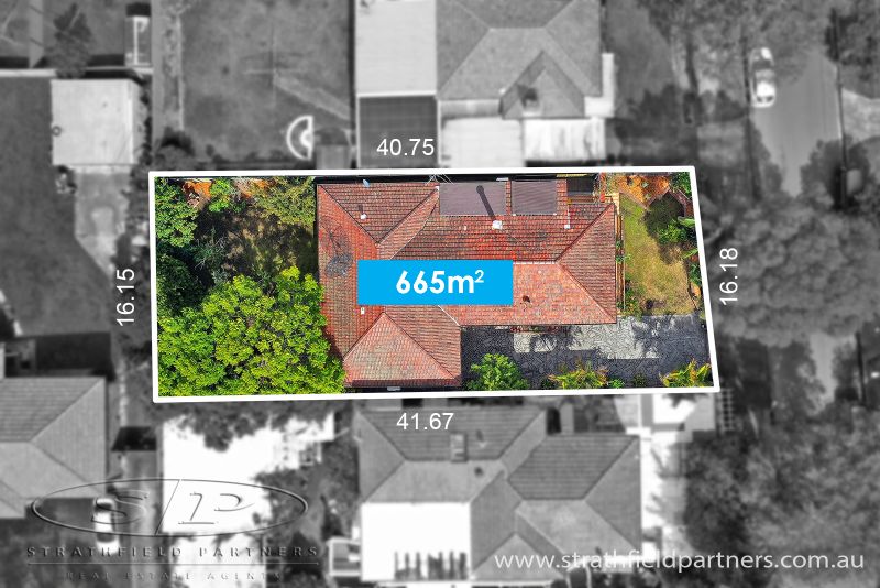 14 Armitree Street, Kingsgrove, Kingsgrove - Thumbnail 4