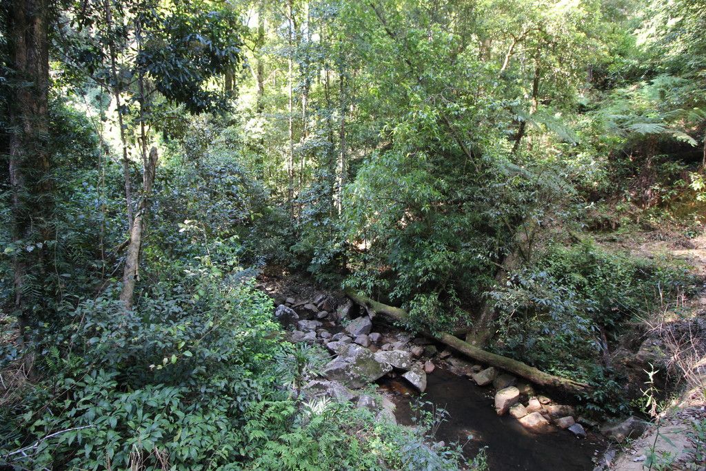 , BIRDWOOD NSW 2446