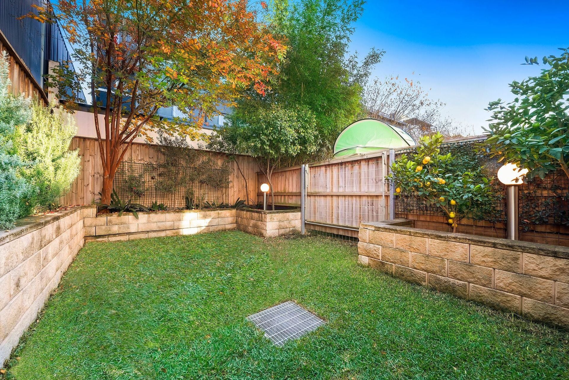 57 Crown Street, ST PETERS, St Peters - Thumbnail 5