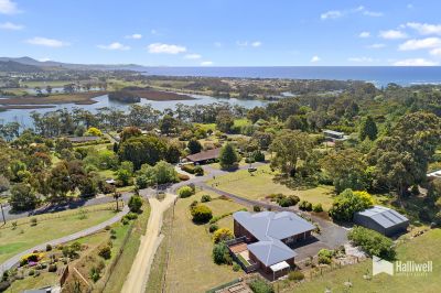 4
 
 
 
  
 
 
 2
 
 
 
  
 
 
 6
 
 
 
 
 
 
 
 10 Davis Street, Leith TAS 7315, Leith - Thumbnail 5