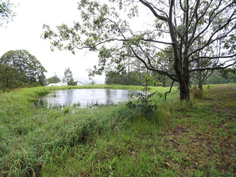 10 Celestial Court VALDORA QLD, Valdora - Thumbnail 5