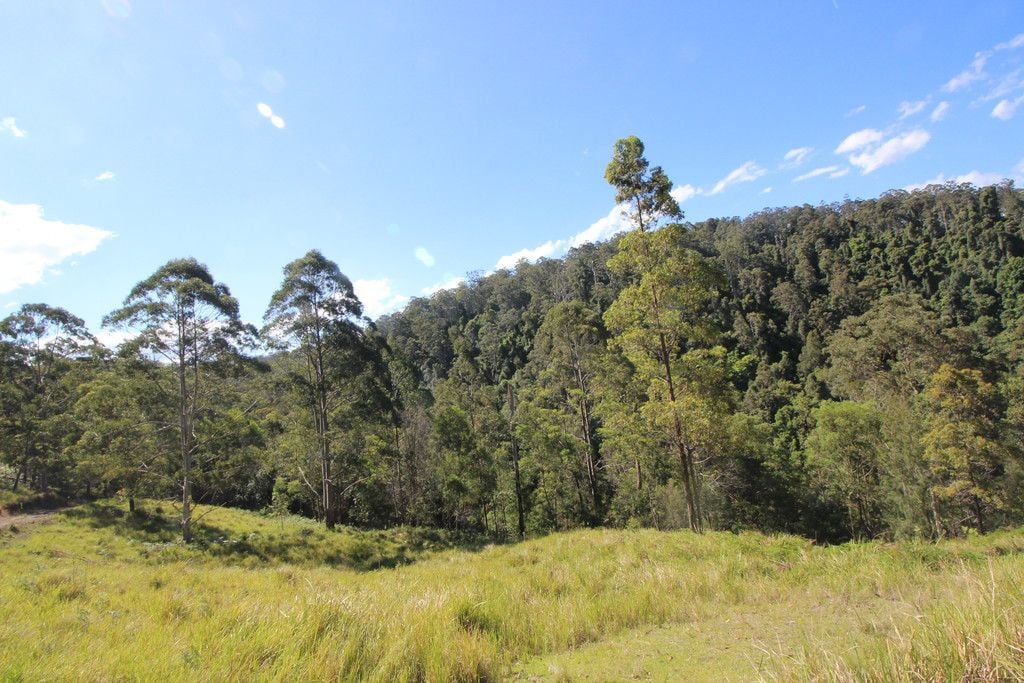 , BIRDWOOD NSW 2446
