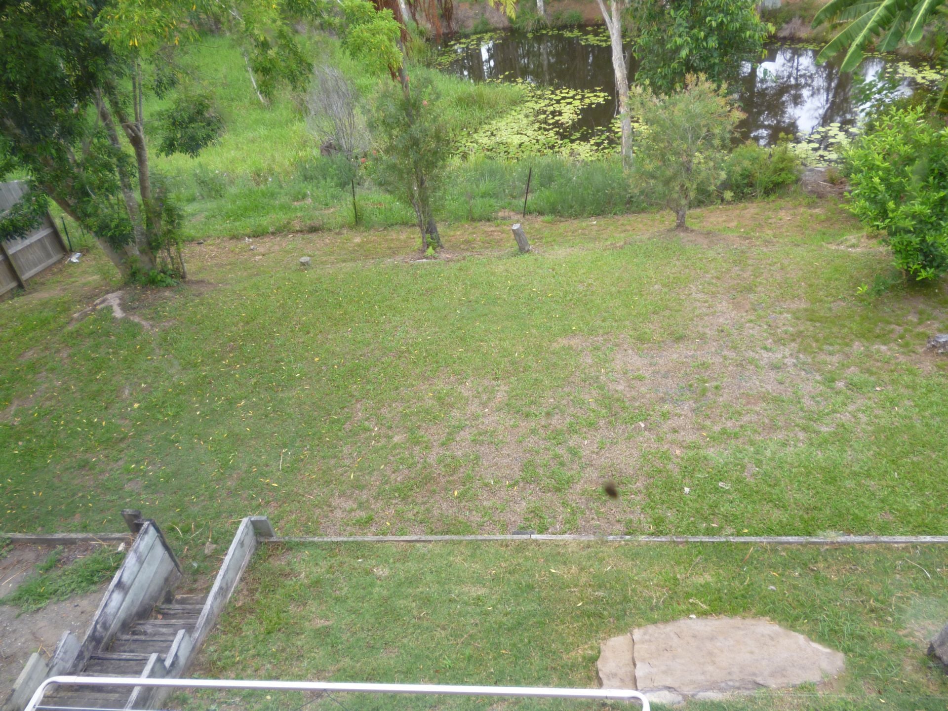 16 Kooralbyn Court Nambour QLD, Nambour - Thumbnail 6