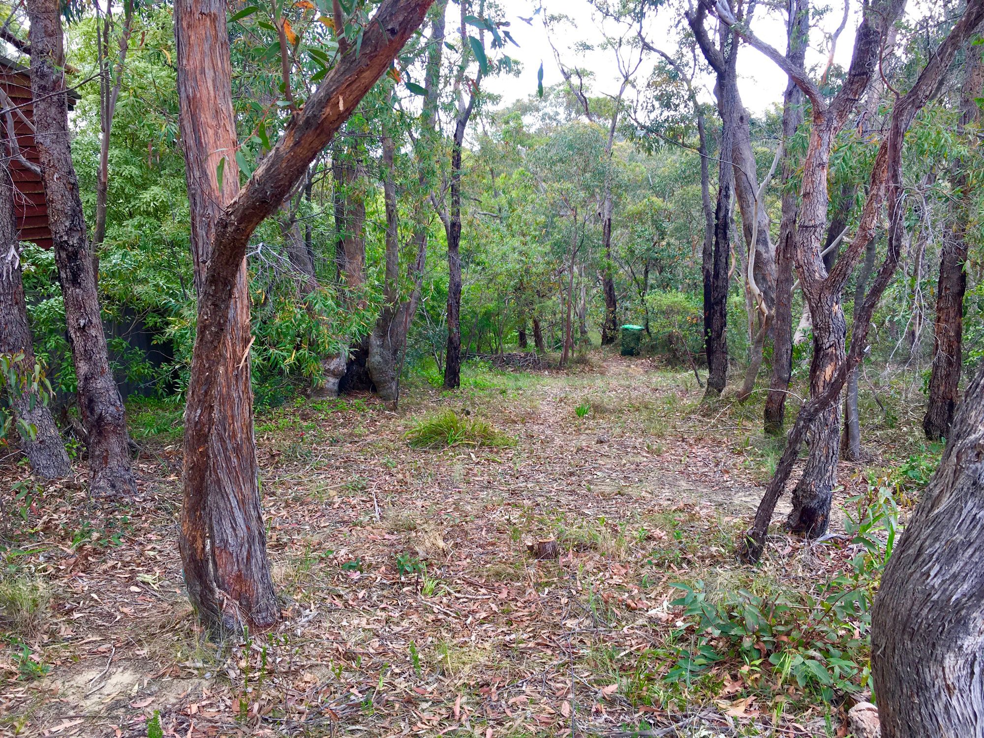 58 Henry Street Lawson 2783