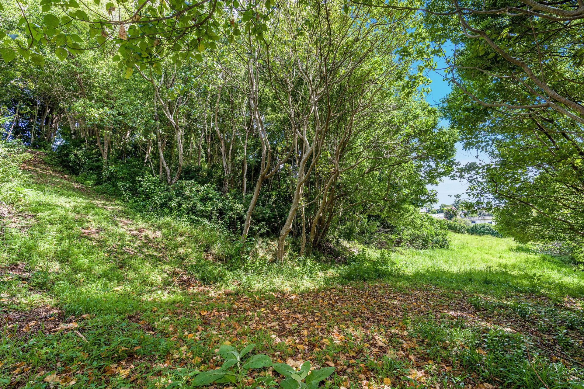 23 Winchelsea Way, Terranora Sophie Carter Exclusive Properties