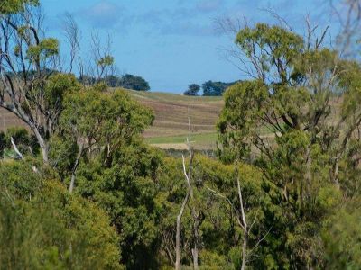 Summerhill Drive, PORT SORELL, Port Sorell - Thumbnail 3