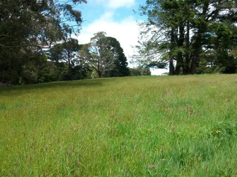 150 Old Colac Road BEECH FOREST VIC, Beech Forest - Thumbnail 4